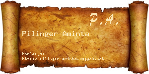 Pilinger Aminta névjegykártya